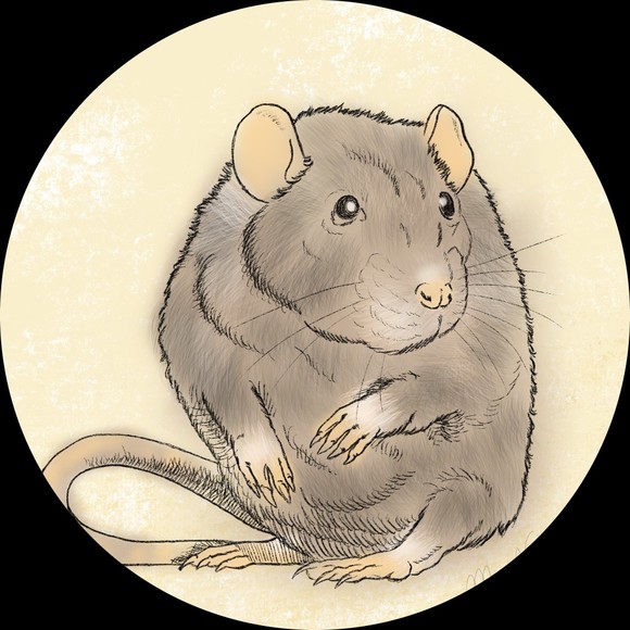 mousewings